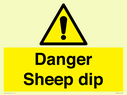 danger-sheep-dip~